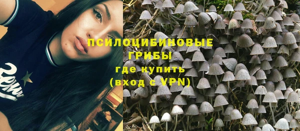 наркотики Каменногорск