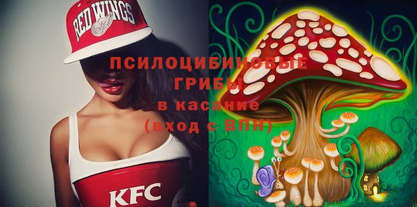 COCAINE Каменск-Шахтинский