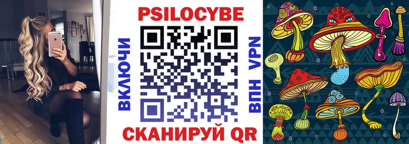 Купить  Арск  Псилоцибиновые грибы Psilocybe 